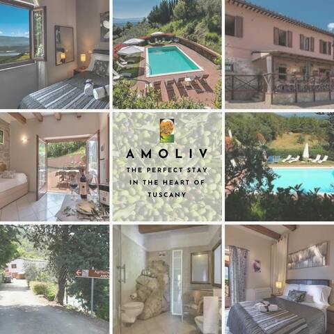 Private Country House with swimming pool -Chianti