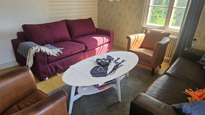 Mysigt Hus Med Utsikt öVer Fjäll Och äLv. - Järpen