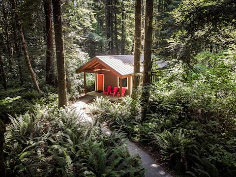 Fern Hook Cabin 300