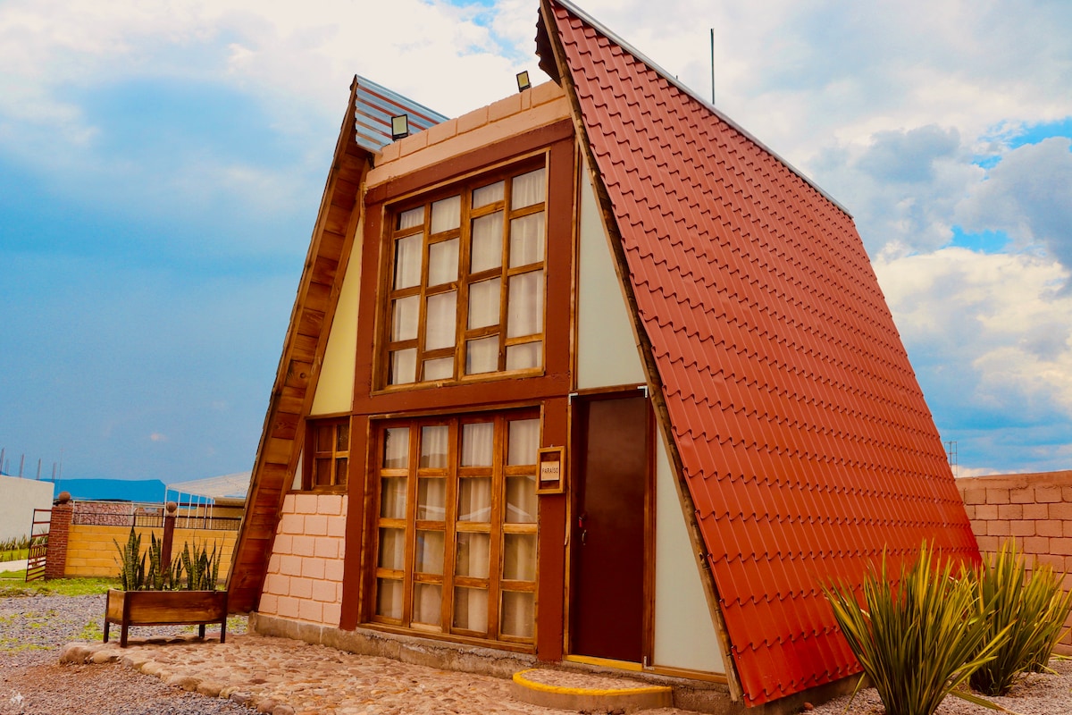 An A-frame structure is prominently featured, showcasing a distinctive red sloped roof. Large windows create a balanced design, while the front entrance is framed by ornamental plants. A gravel pathway leads to the door, enhancing the inviting aspect of the exterior.
