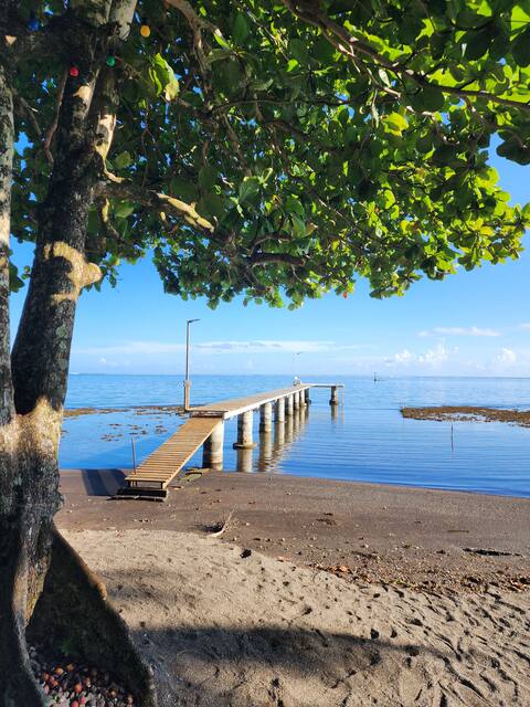 Beachfront villa Fare Miti Tautira [5 bedrooms ]