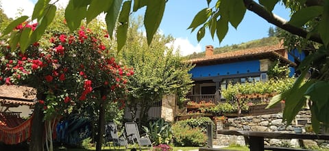 Propiedad de Airbnb exitosa: SAMELAR APARTMENTS en Camaleño