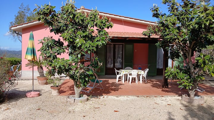 Villa Giuliana, Appartamento Bilocale 4 Ptl, All'isola D'elba. - Isola d'Elba