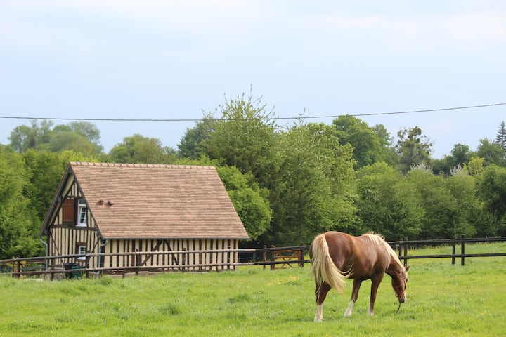 Gite "A La Petite Bretonnière" - Normandy