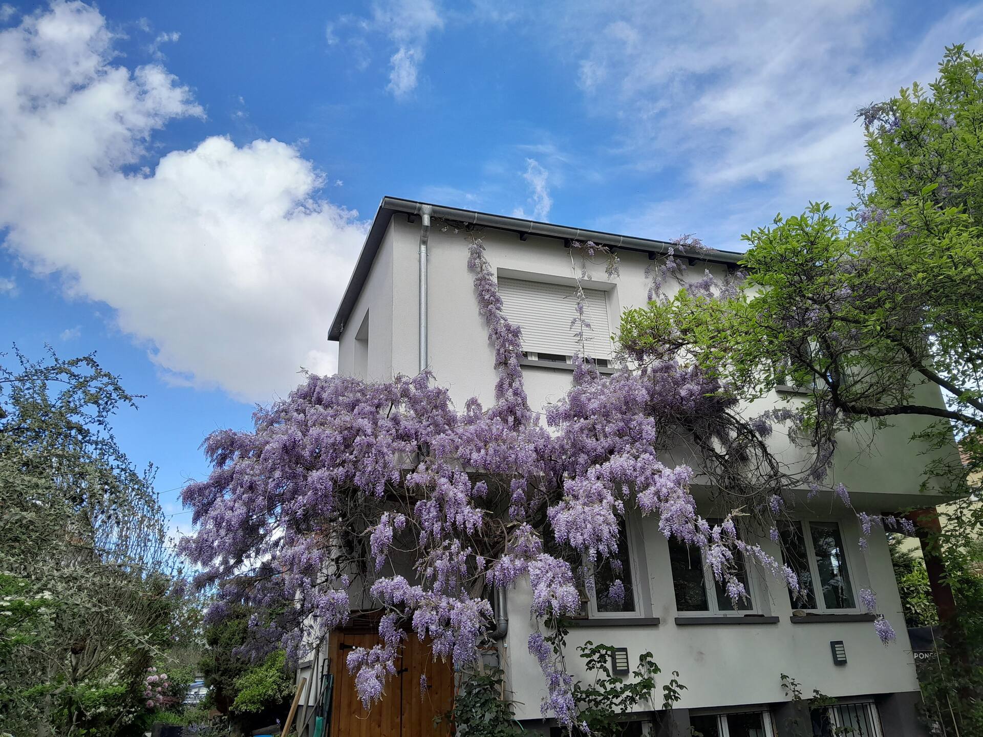 La rose, beautiful brand new apartment in souplex.