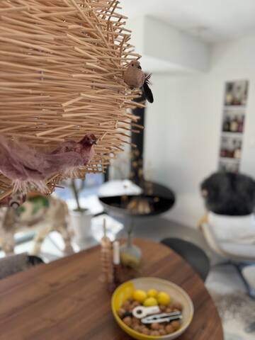 Seaview Villa with Rooftop, Garden & Maid Service gallery image 5