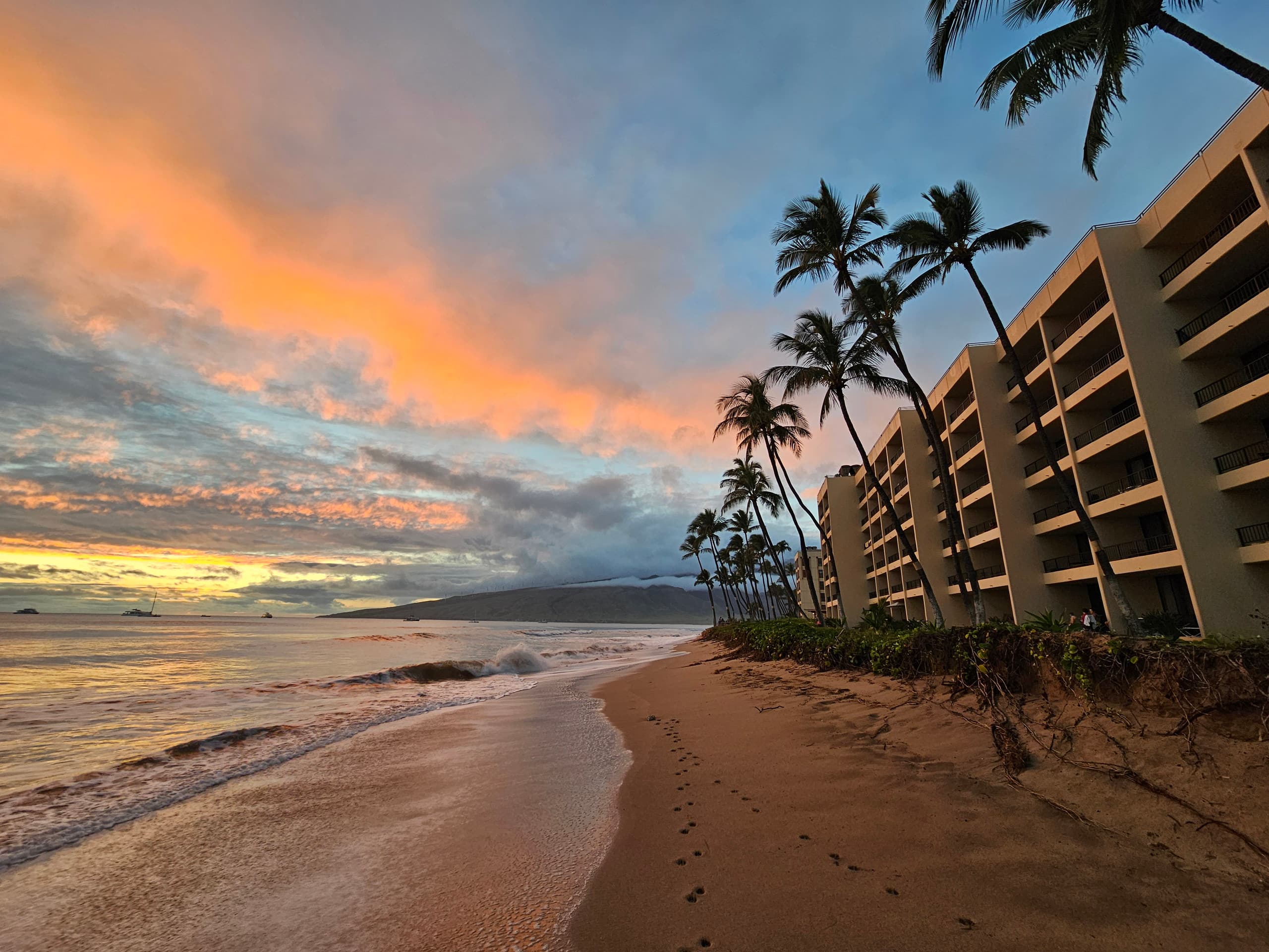 Condo in Kihei · ★4.94 · 1 bedroom · 2 beds · 1 bath - Image 40