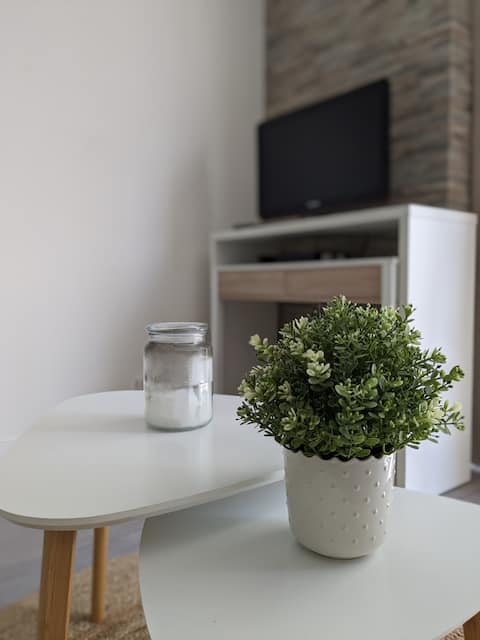 Propriété Airbnb réussie: Faubourg Studio à Faubourg Raines