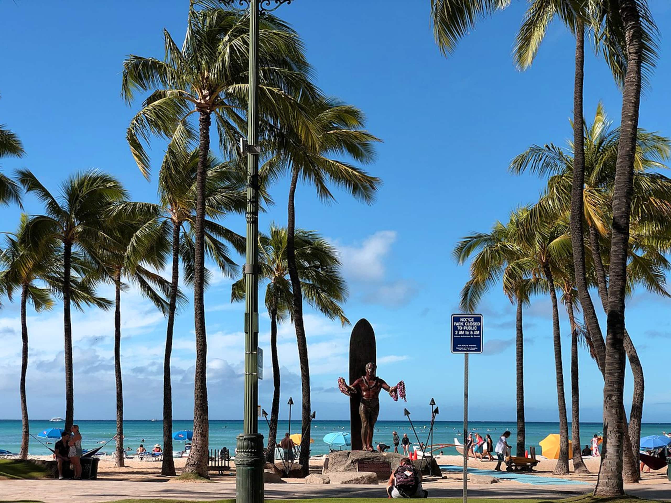 Condo in Honolulu · ★4.77 · Studio · 1 bed · 1 shared bath - Image 24