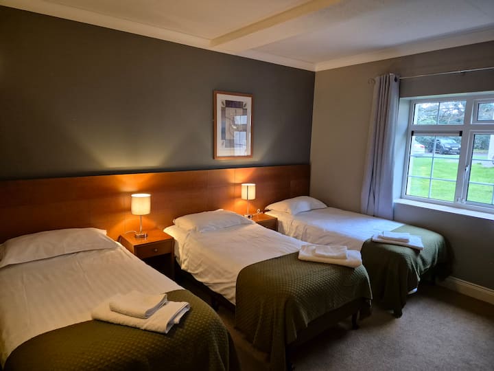 3 x ერთადგილიანი საწოლი
Ბაღის ხედი
32" ტელევიზორი 