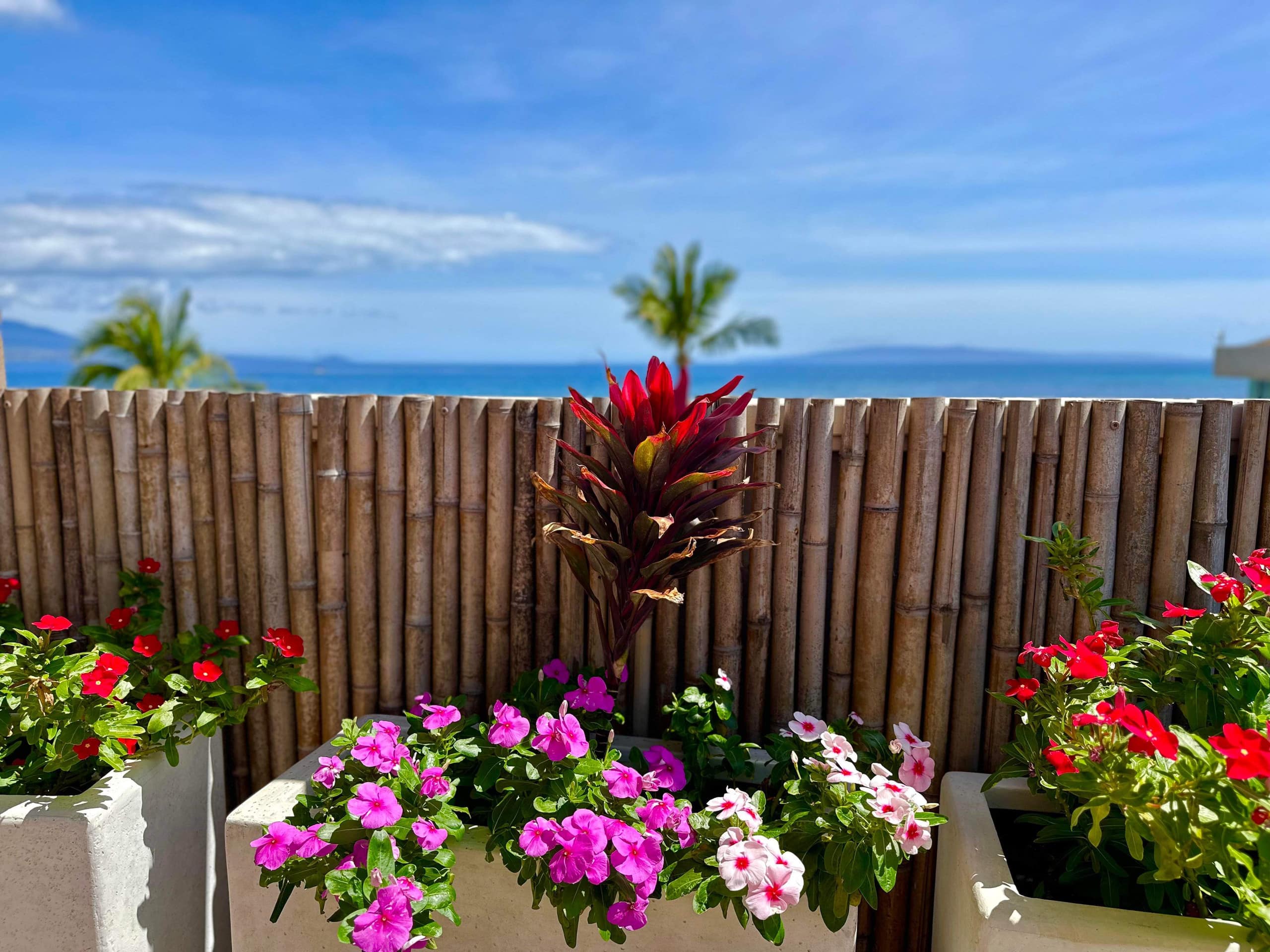 Condo in Wailuku · ★5.0 · 2 bedrooms · 3 beds · 2 baths - Image 34