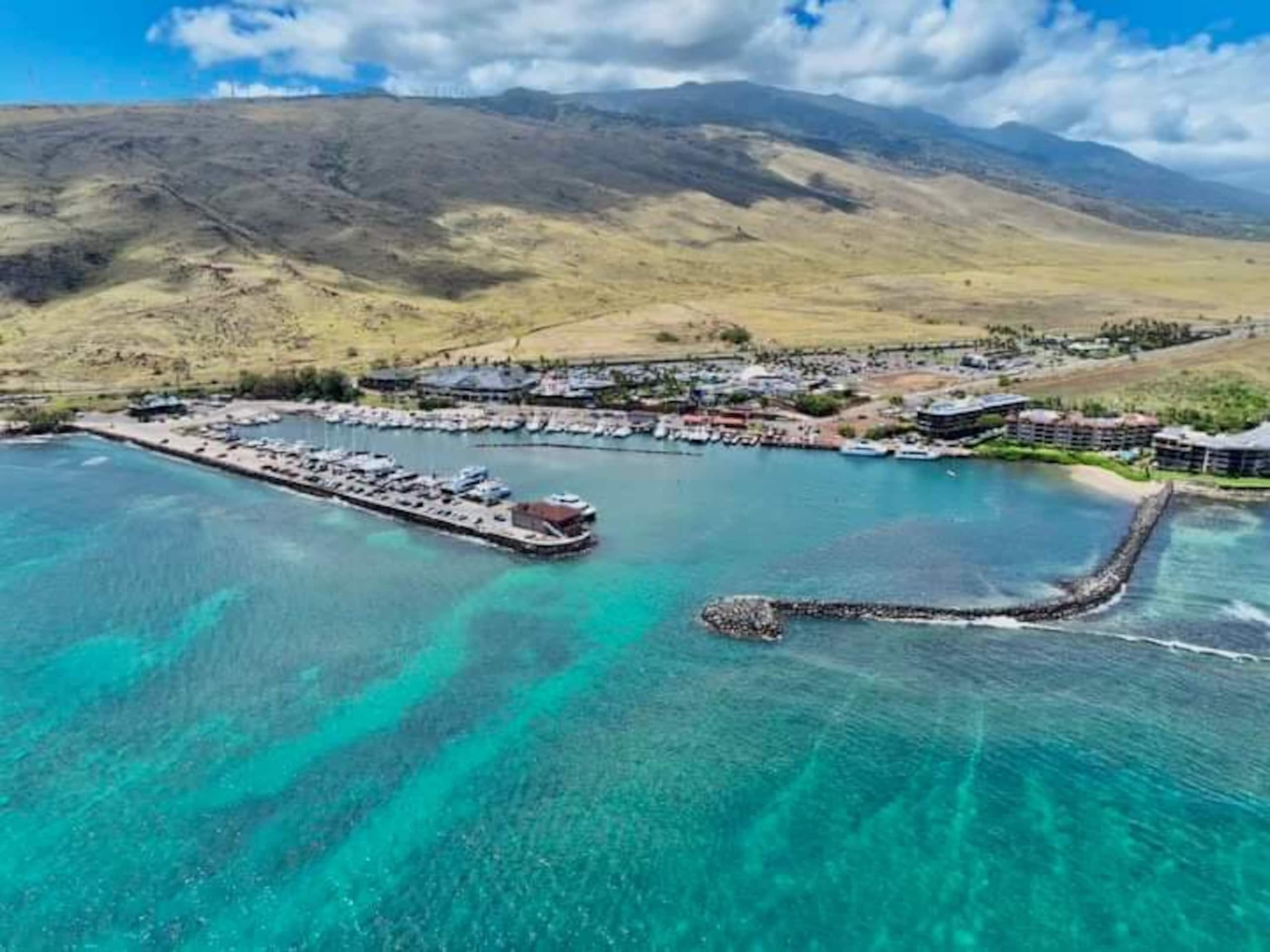 Condo in Wailuku · ★5.0 · 2 bedrooms · 3 beds · 2 baths - Image 47