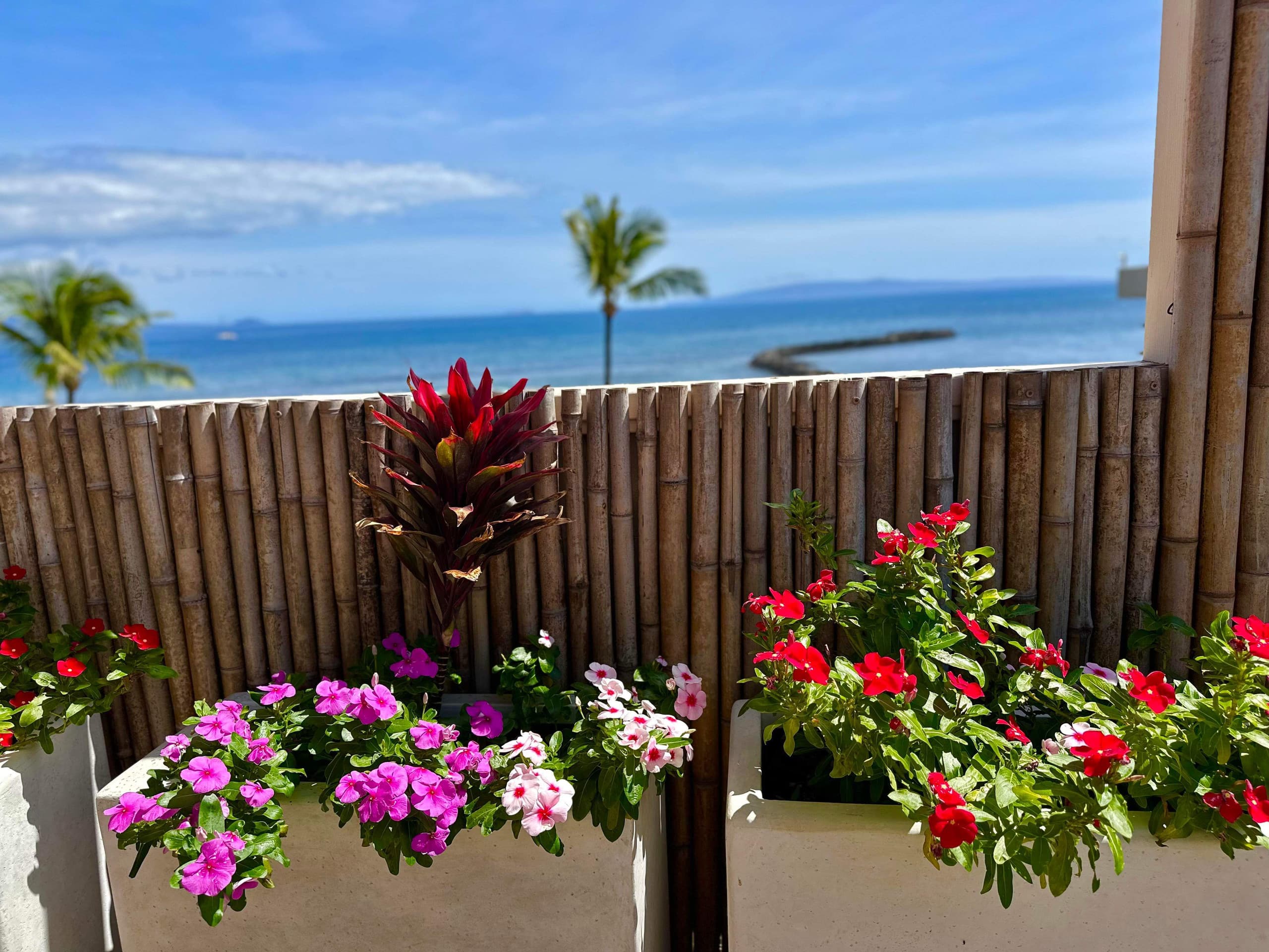 Condo in Wailuku · ★5.0 · 2 bedrooms · 3 beds · 2 baths - Image 32