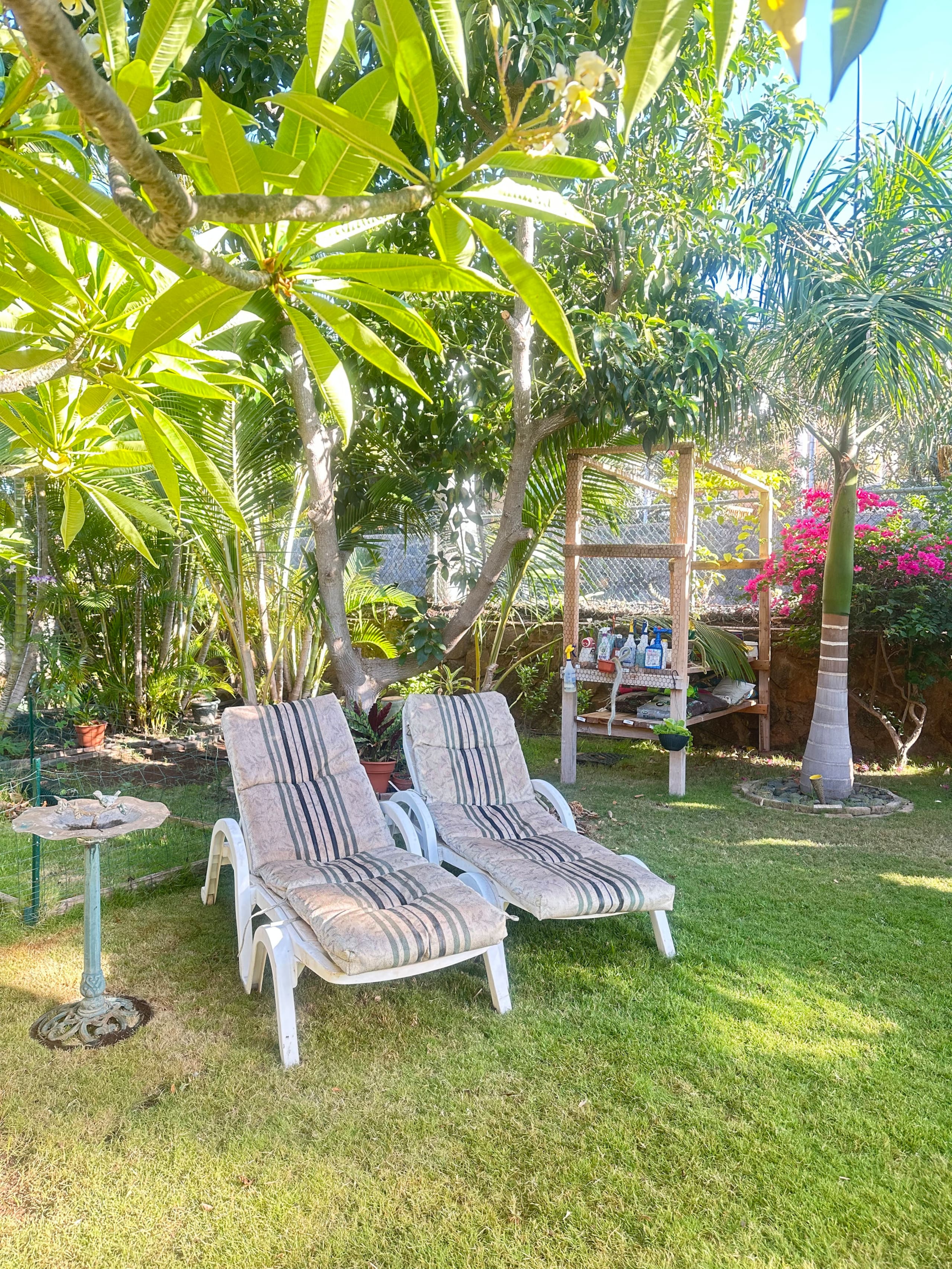 Sunflower Suite - Your Secret Garden - Image 37