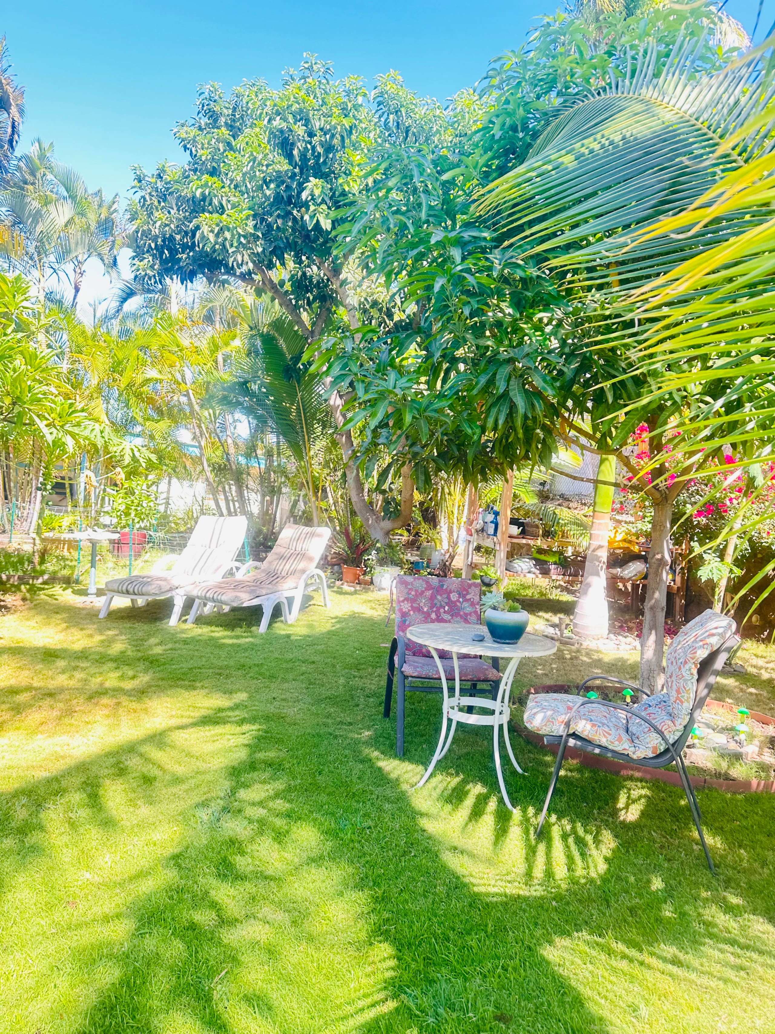 Sunflower Suite - Your Secret Garden - Image 36