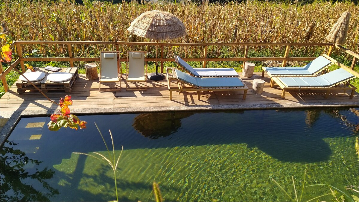 A wooden deck surrounds a clear biological pool, furnished with sun loungers and a shaded umbrella. Lush greenery is visible in the background, while the pool's crystal clear water reflects the natural surroundings.