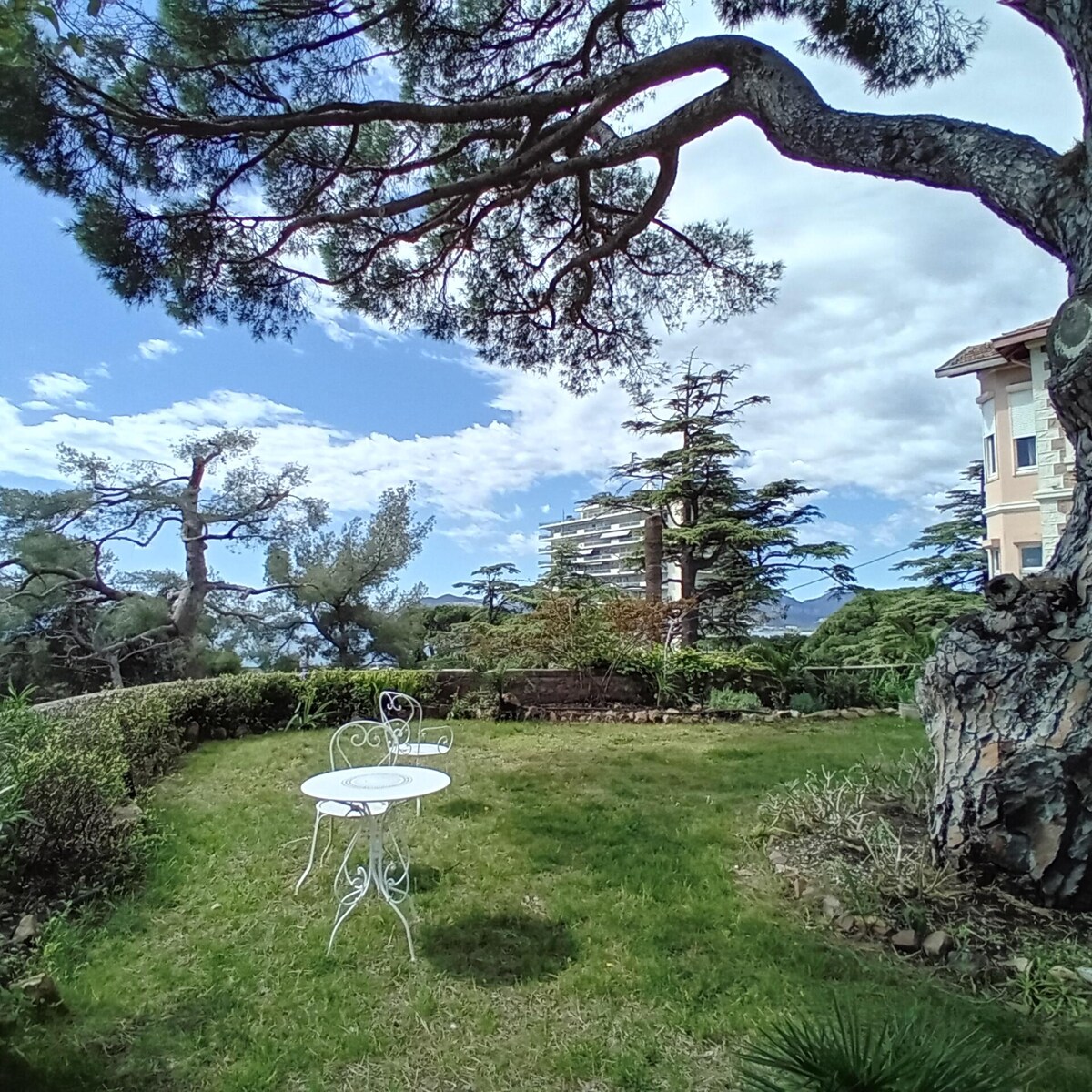 A tranquil garden area is depicted, featuring a small white table and chairs set on lush green grass. Tall trees provide shade, with a backdrop of varied greenery against a clear blue sky. The peaceful setting invites relaxation.
