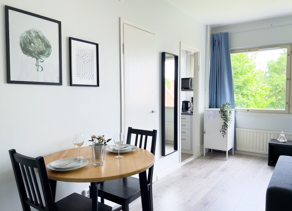 A dining area is set for two at a round wooden table, complemented by black chairs. Two framed artworks hang on the wall, and a tall mirror reflects the light from the window adorned with sheer blue curtains. A kitchenette is visible in the background.
