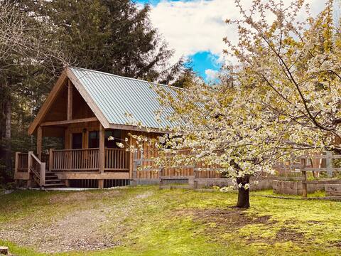 Leaning Cedar Guest Cabin - 3 beds and fireplace!