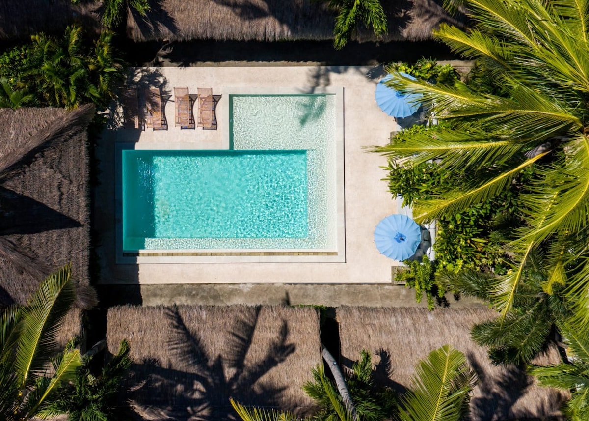 An aerial view captures a sparkling pool surrounded by tropical greenery and palm trees. Sunbeds line one edge of the pool area, while colorful umbrellas offer shade in the adjacent space. The layout invites relaxation and enjoyment in a serene garden setting.