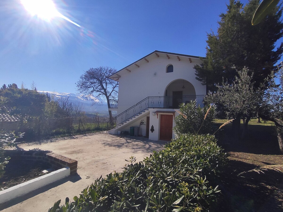 The exterior view of a white villa features an inviting entrance with a decorative door. Surrounding greenery includes trees and plants, with a clear blue sky and bright sunlight illuminating the scene. A spacious driveway is visible in the foreground.