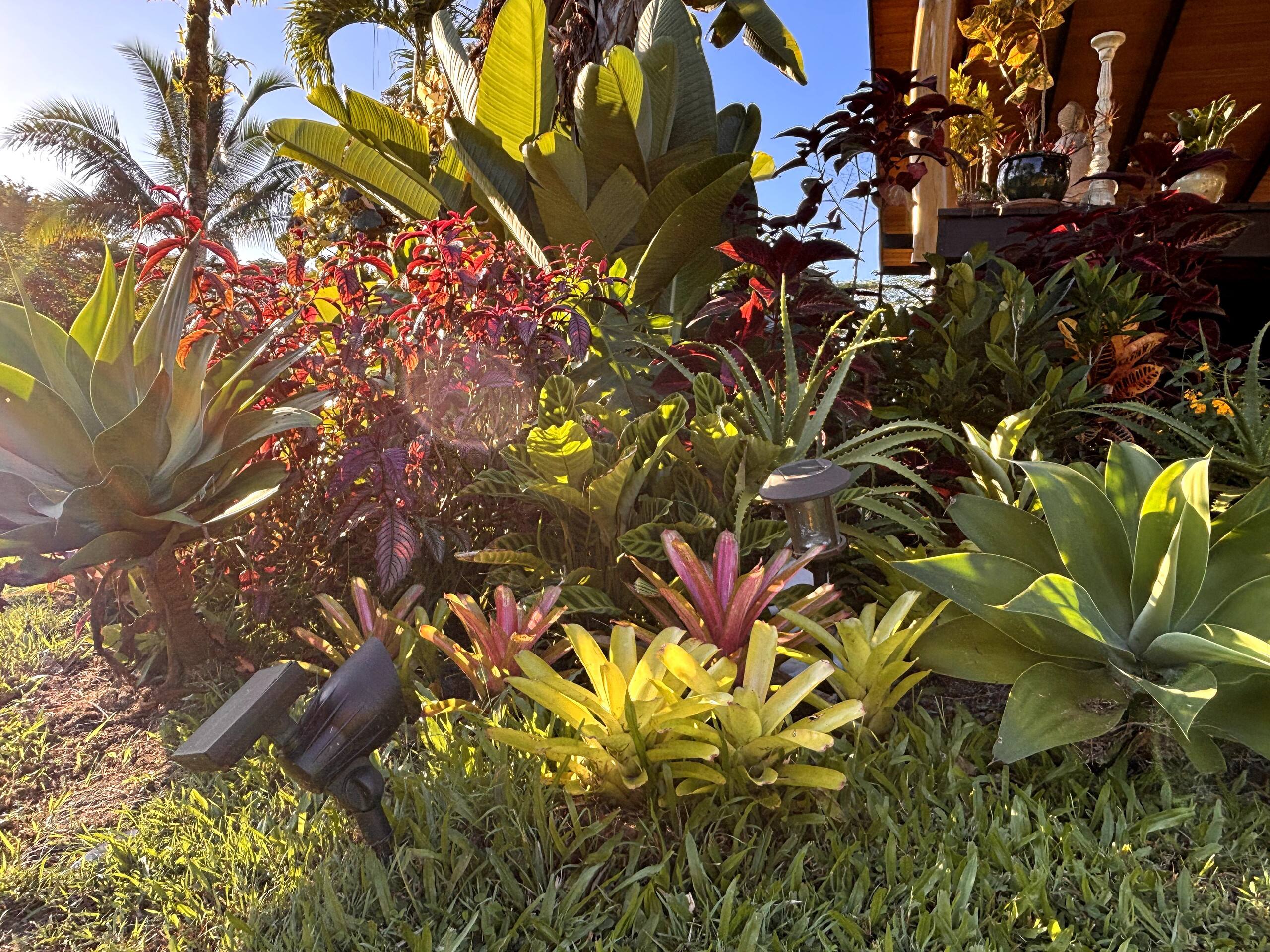 Home in Keaau · ★4.94 · 4 bedrooms · 3 beds · 2 shared baths - Image 26