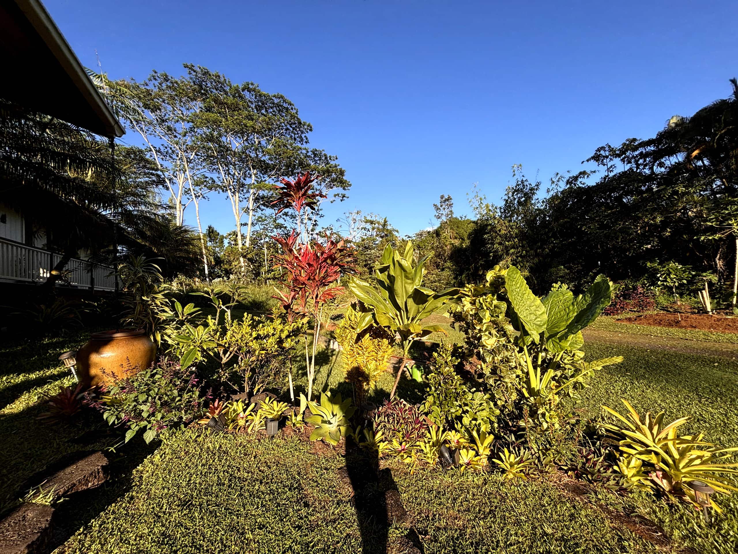Home in Keaau · ★4.94 · 4 bedrooms · 3 beds · 2 shared baths - Image 20