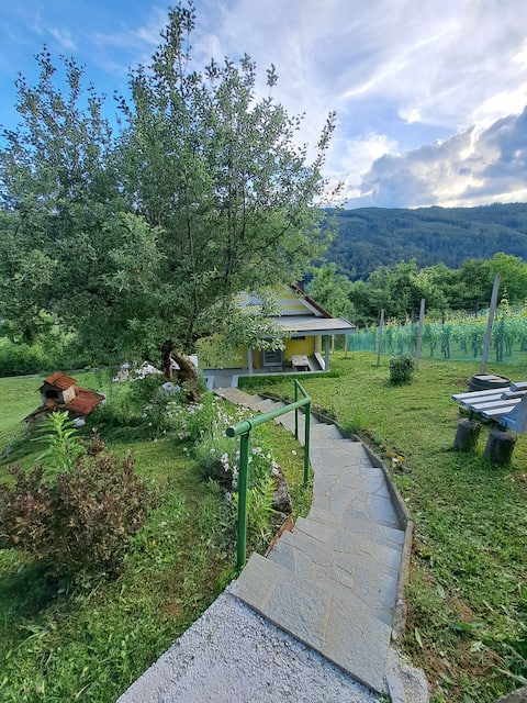 modern furnished house with secluded location