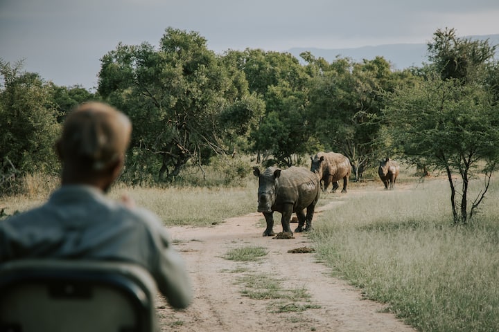 Rhino's Rest Private Luxury Villa - All Inclusive - Hoedspruit