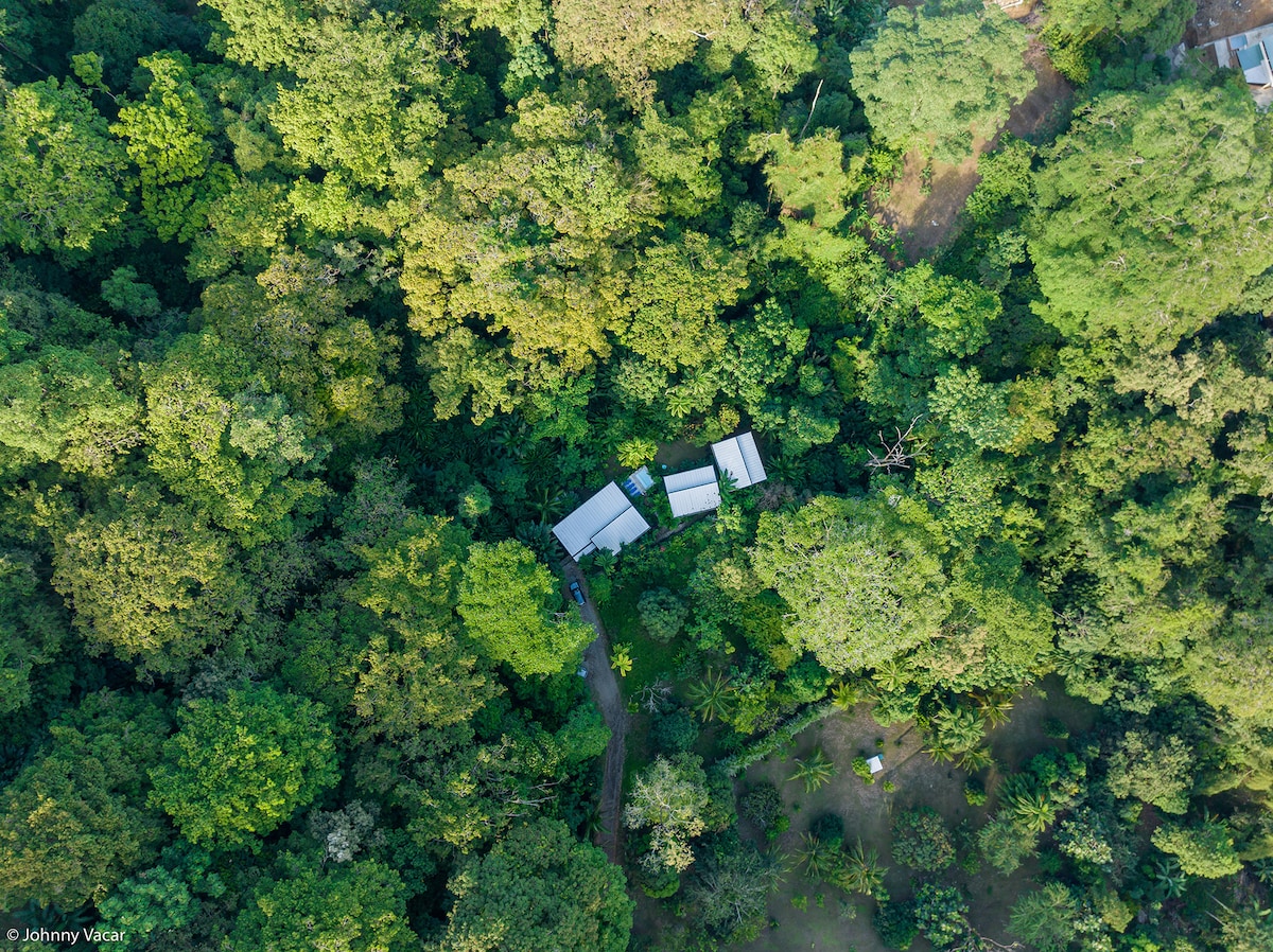 An aerial view displays the bungalow nestled within lush, dense greenery of the Caribbean jungle. The surrounding foliage features a variety of trees, creating a serene natural setting, while a winding path is visible leading to the property.