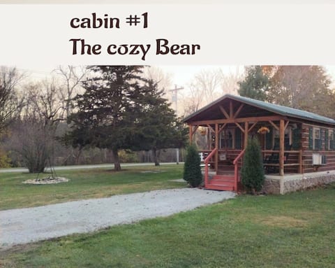 Cozy Country Bear log cabin with many amenities