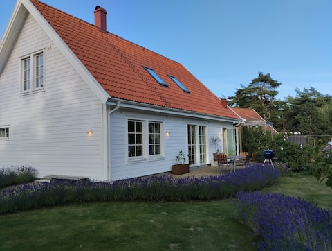 Beachfront Villa in Ljunghusen