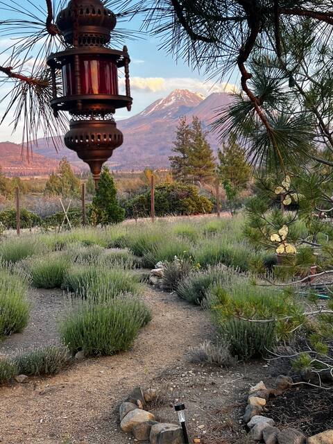Wonderland Retreat House at Base of Shasta