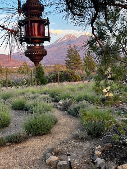 Wonderland Retreat House at Base of Shasta