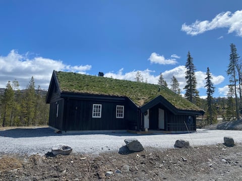 Large cabin in the mountain with 2 bathrooms
