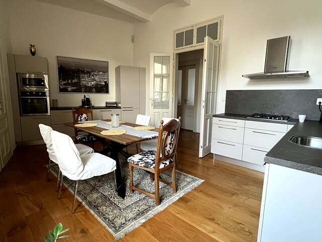 Prague Riverfront/Castle View 4 BR 2.5 BA gallery image 2