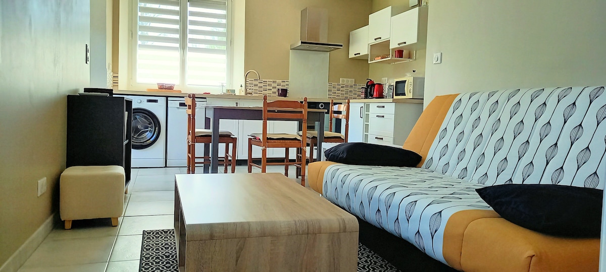 A functional living area is shown, featuring a comfortable sofa with a patterned upholstery. A wooden coffee table is positioned in front, and a dining space with wooden chairs is visible. The kitchen, equipped with modern appliances, is located in the background, creating an open layout.