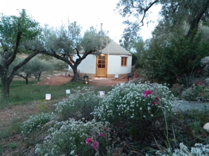 Yurta Mongola Delta Ebro - Tortosa