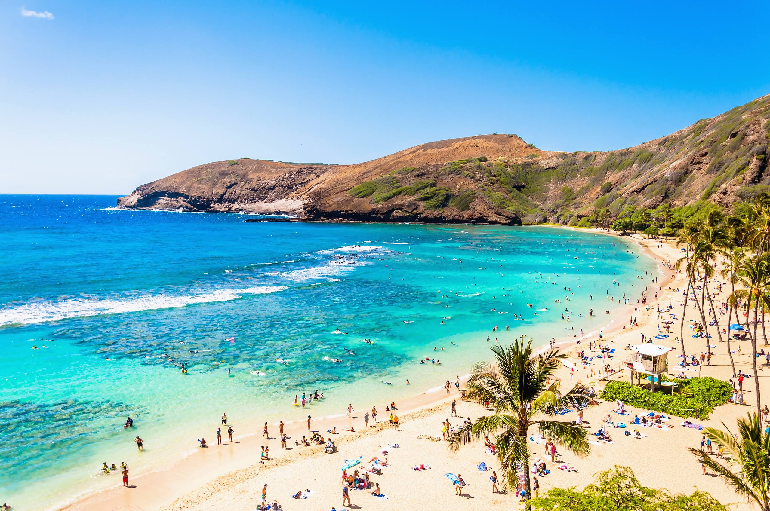 Condo in Honolulu · ★4.8 · 1 bedroom · 1 bed · 1 private bath - Image 58