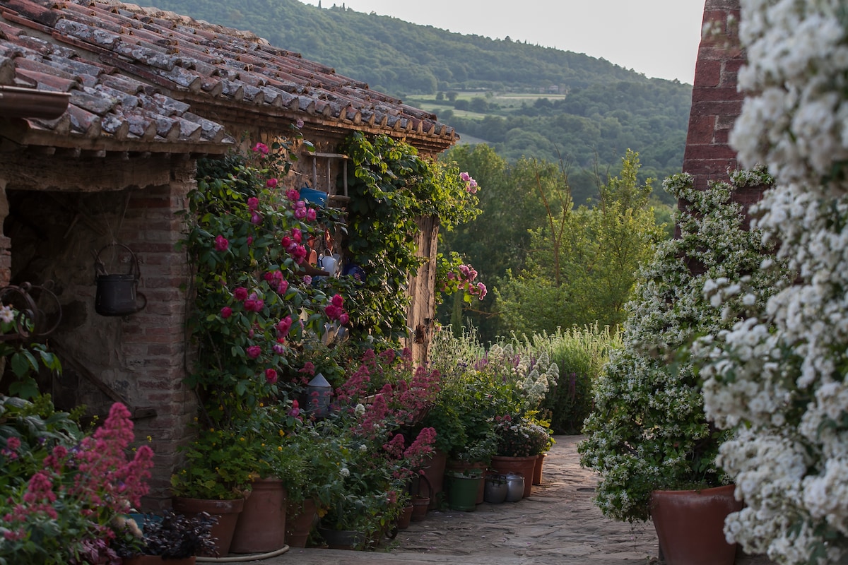 A stone pathway is flanked by vibrant flowering plants and shrubs, leading towards the lush greenery of a valley. The rustic buildings are adorned with climbing vines, creating an inviting transition between the structures and the surrounding natural beauty.