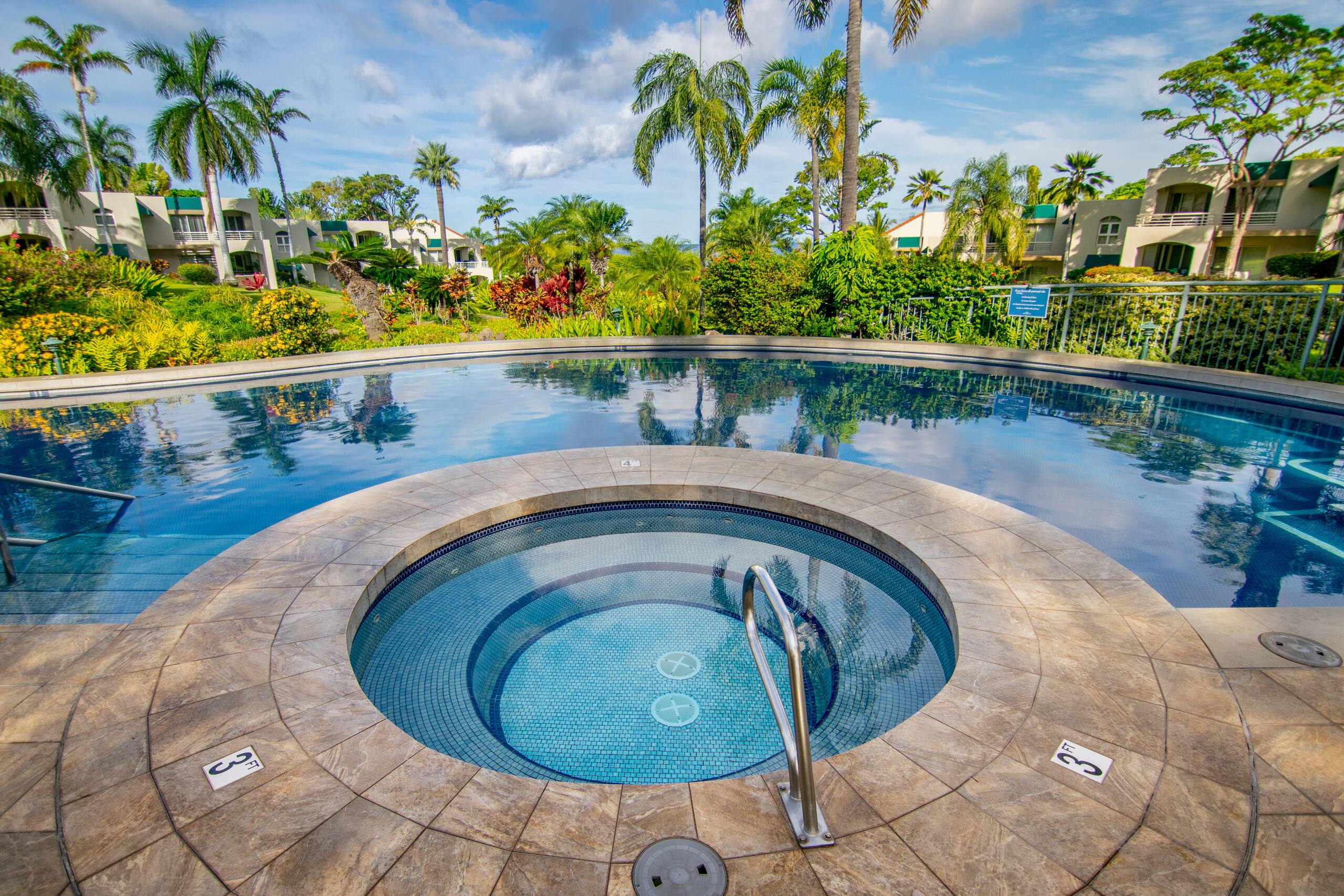 Palms at Wailea Maui Ocean View 2 Bedroom 2 Bath - Image 19