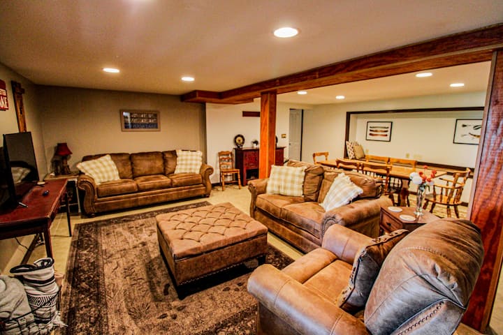 Living Room space on the lower level of the house.