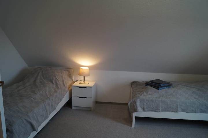 Chumba cha kulala kilicho na vitanda viwili, kivuli cha kuzima na dawa ya kuua wadudu. 