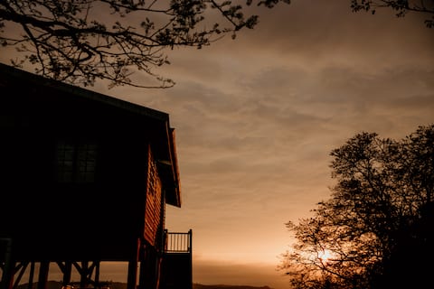 Beautiful log cabin on stilts - 1000 Hills Cabin