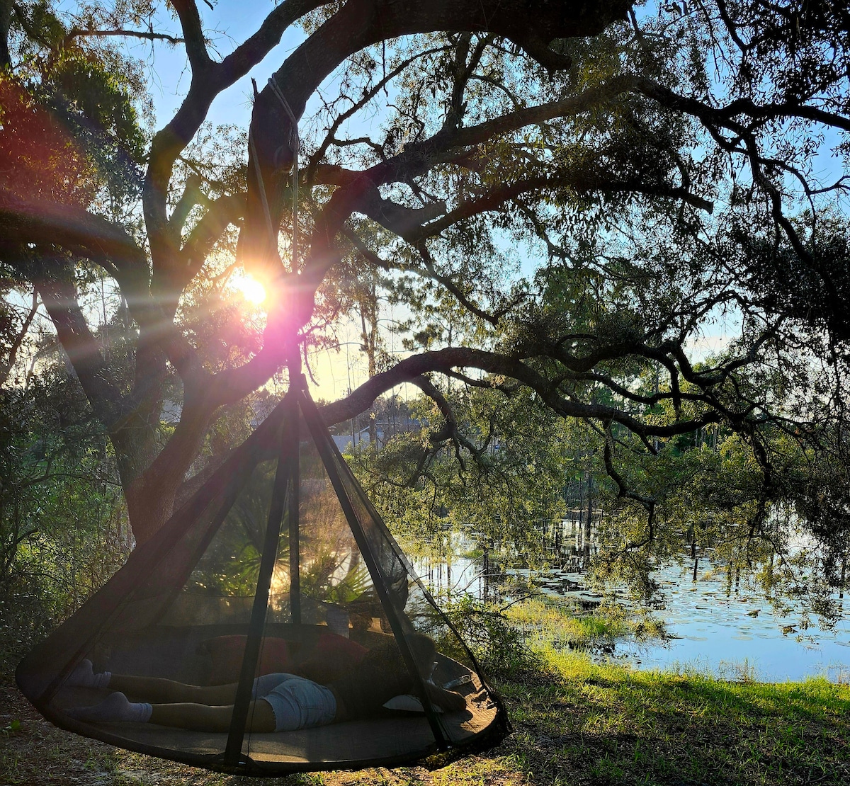 A cozy hammock is suspended from a large tree, bathed in warm sunlight filtering through the leaves. The tranquil lake reflects the surrounding greenery, creating a serene outdoor space ideal for relaxation and enjoying nature.