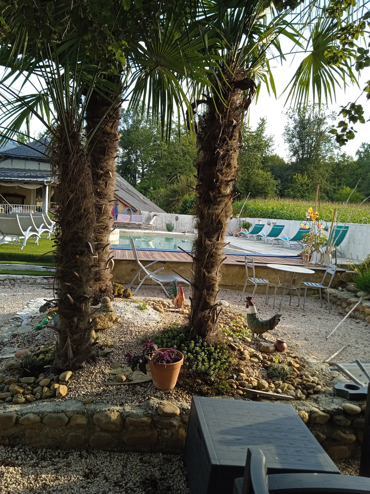 A serene outdoor area features tropical palm trees and an inviting pool area. White lounge chairs surround the pool, while a grill and dining setup are positioned nearby. The landscape is adorned with decorative stones and potted plants, enhancing the tranquil environment.