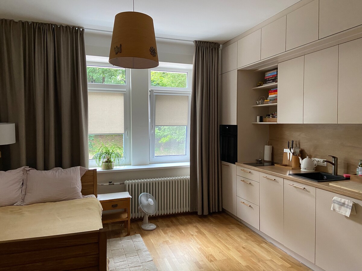 A one-room apartment is captured, featuring a spacious bed near the window. Natural light enters through two large windows covered with light shades. A modern kitchen setup is visible with open shelving and essential appliances. Warm wood flooring and a cozy lamp complete the inviting atmosphere.