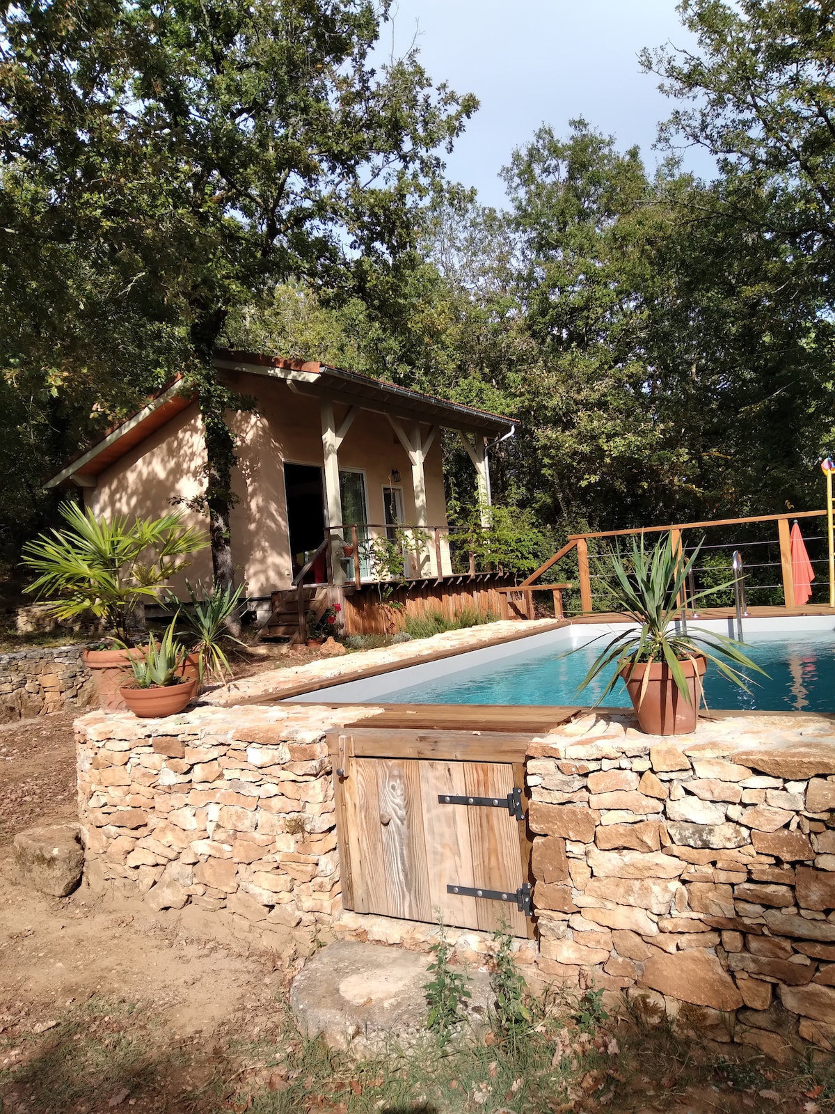 A small, eco-constructed cottage is set amid trees, featuring a stone border around a refreshing pool. Potted plants decorate the pool area, enhancing the natural surroundings. The cabin's porch invites relaxation with views of the tranquil outdoor space.