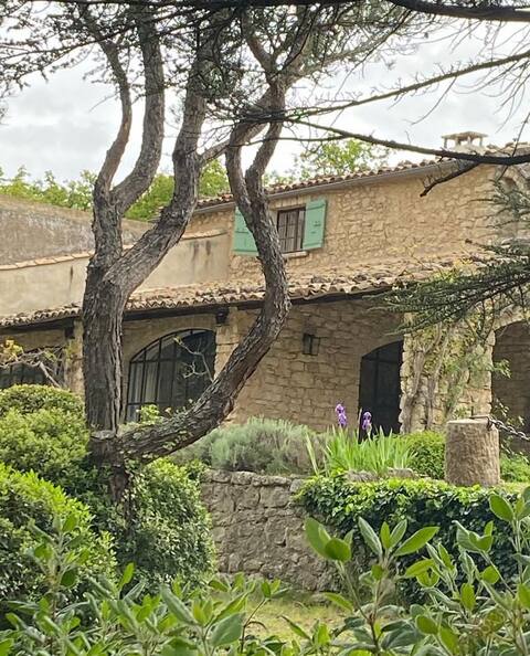 Old sheepfold nestled among cedars - Gordes