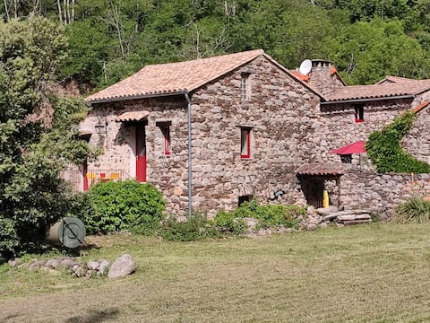 Le Mas de Ribard, quiet and natural in Cévennes